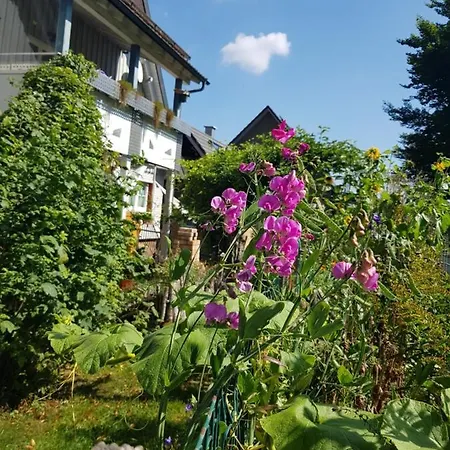 Schatz-insel Lägenhet Loßburg