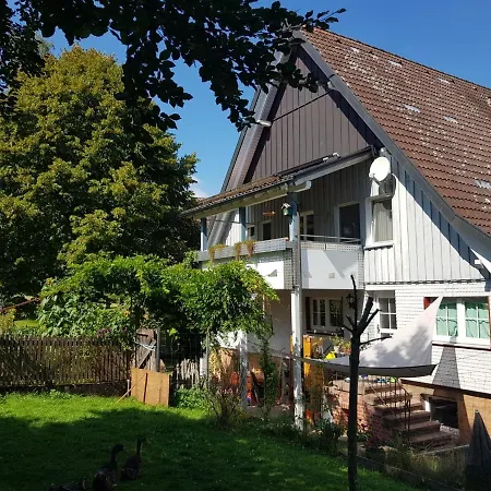 Apartment Schatz-insel Lossburg