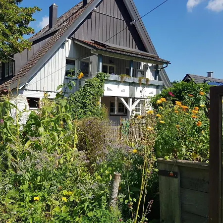 Schatz-insel Loßburg