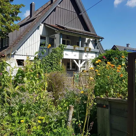 Schatz-insel Lossburg